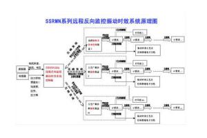 SSRMN 远程无线反向监控振动时效仪